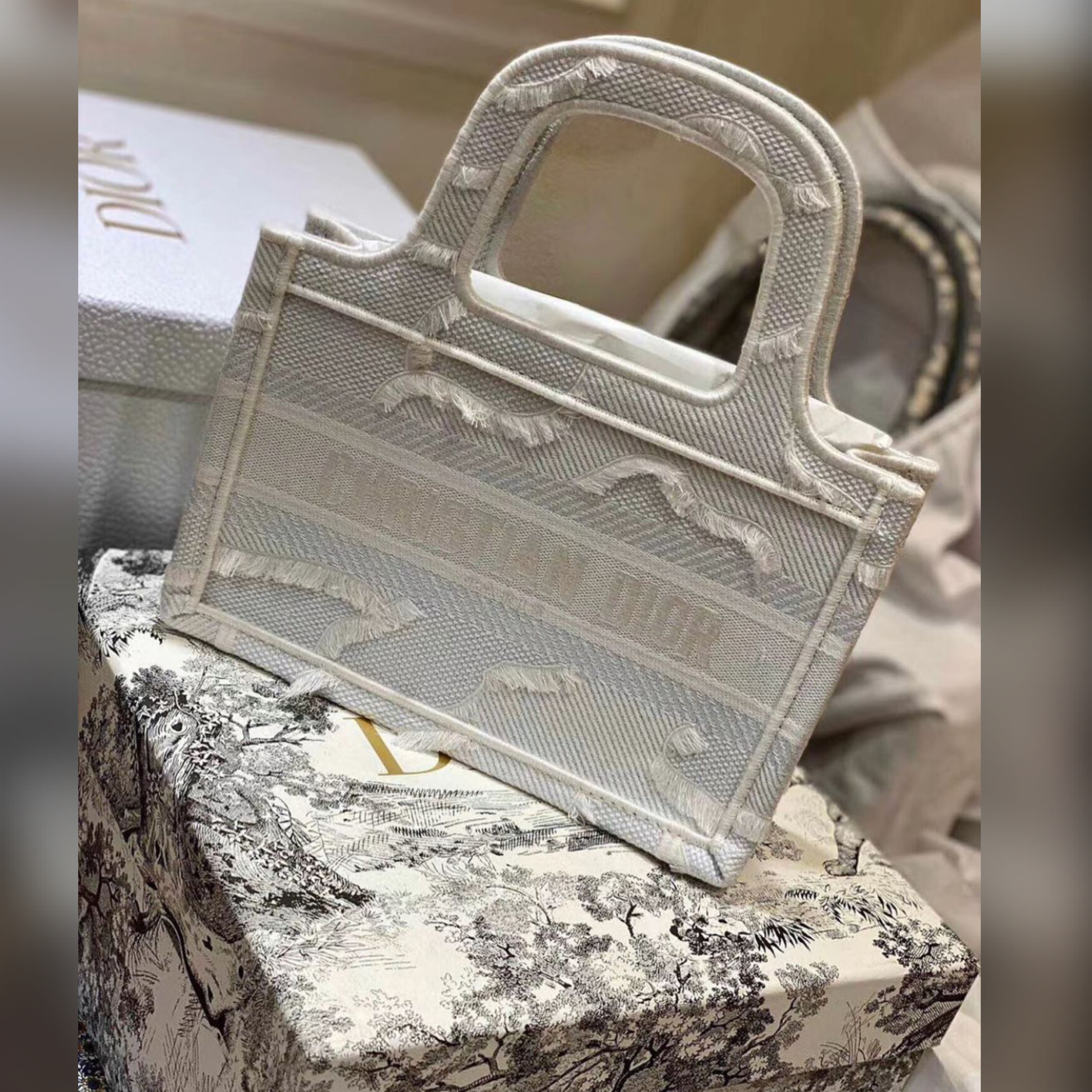 Christian Dior bags