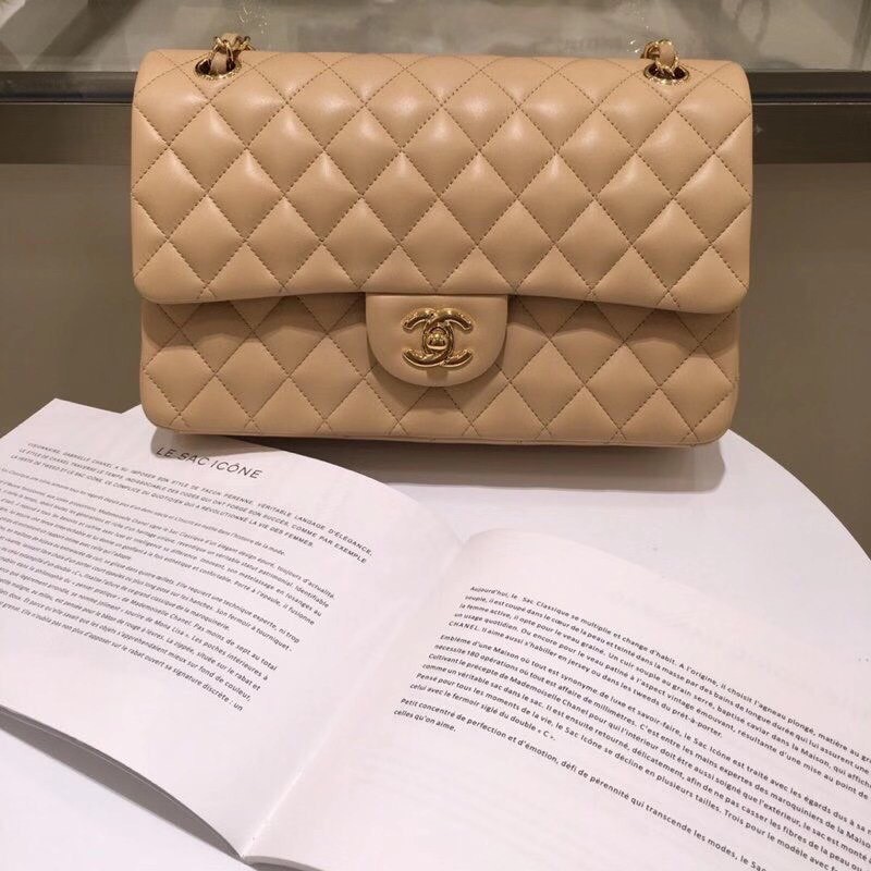 Chanel bags