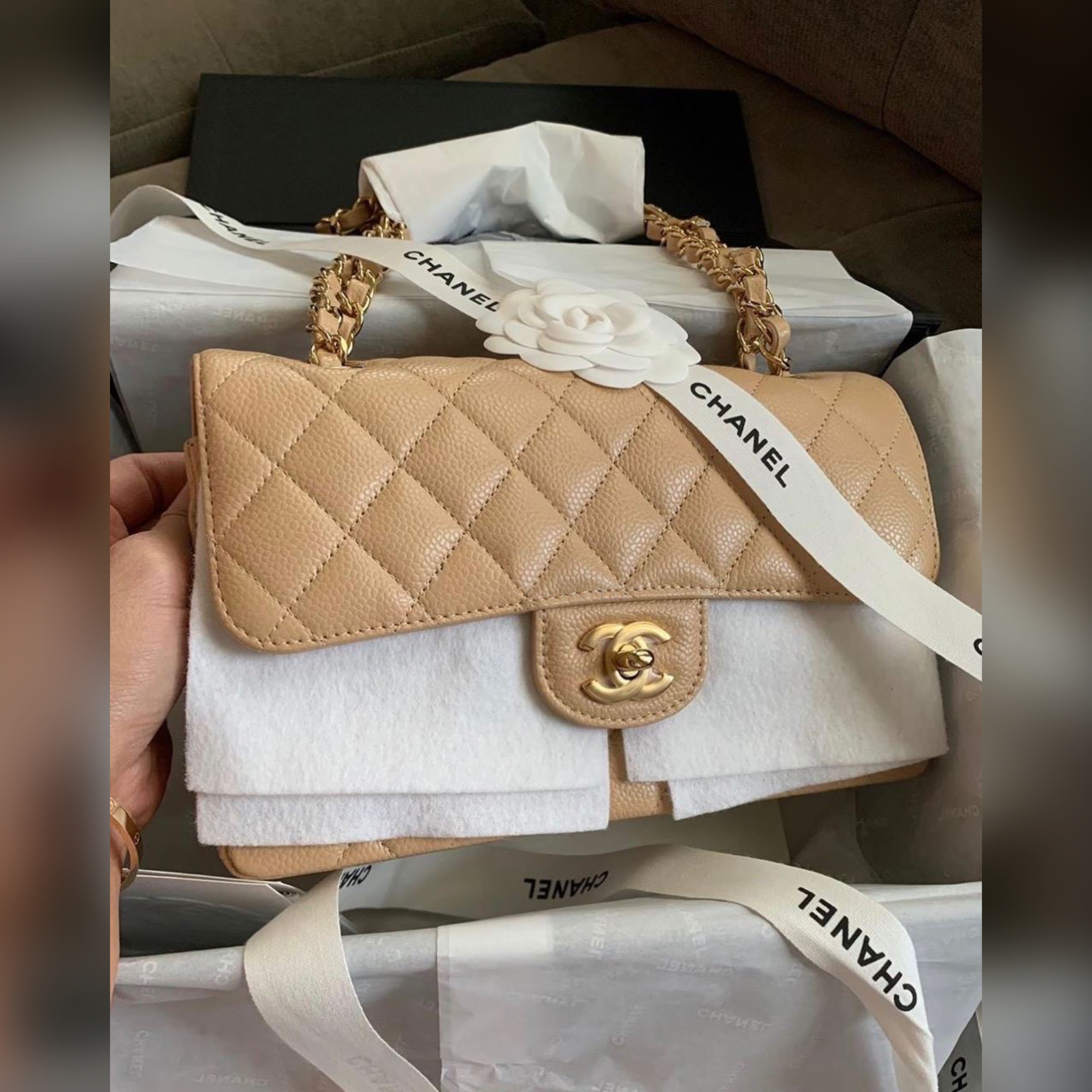 Chanel bags