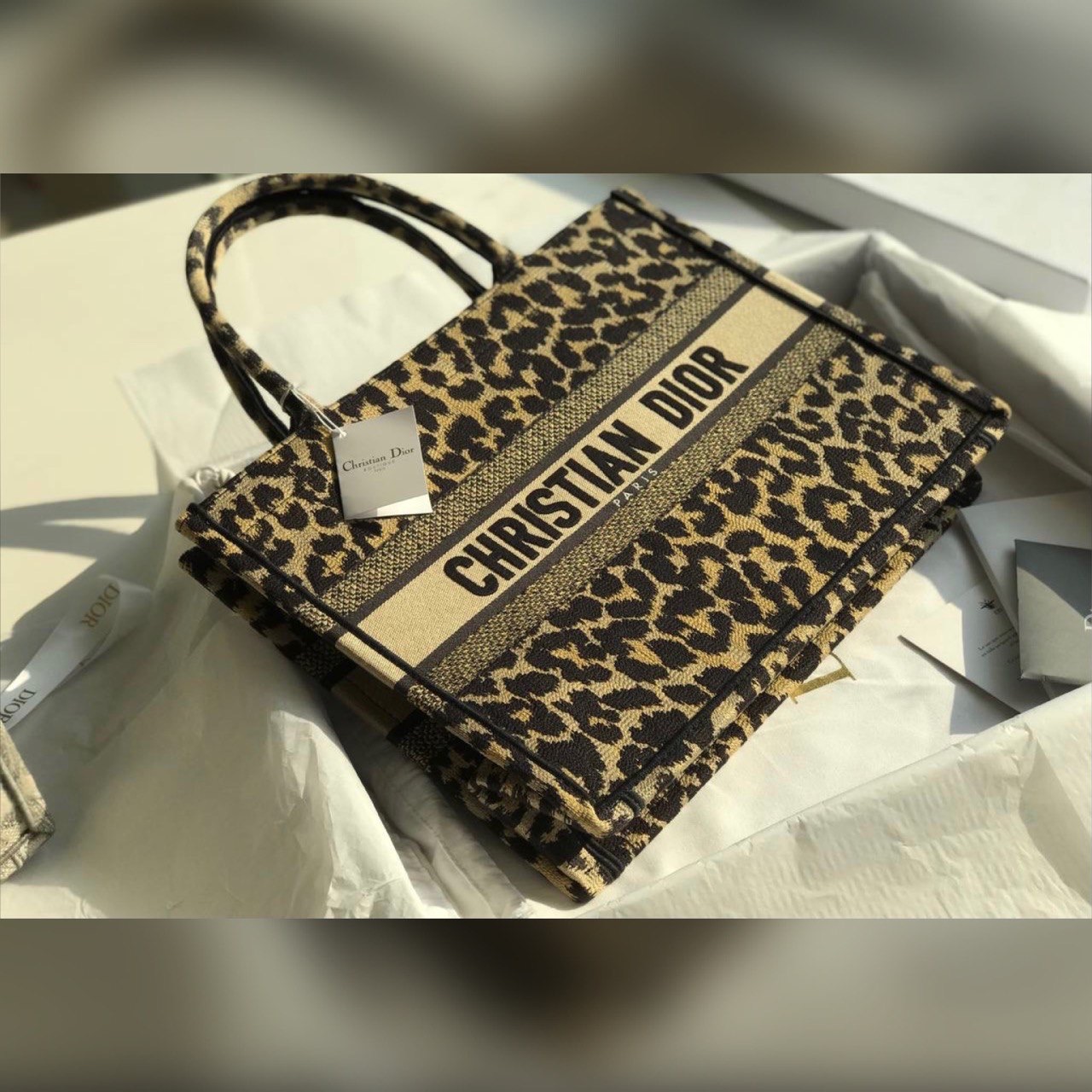 Christian Dior bag