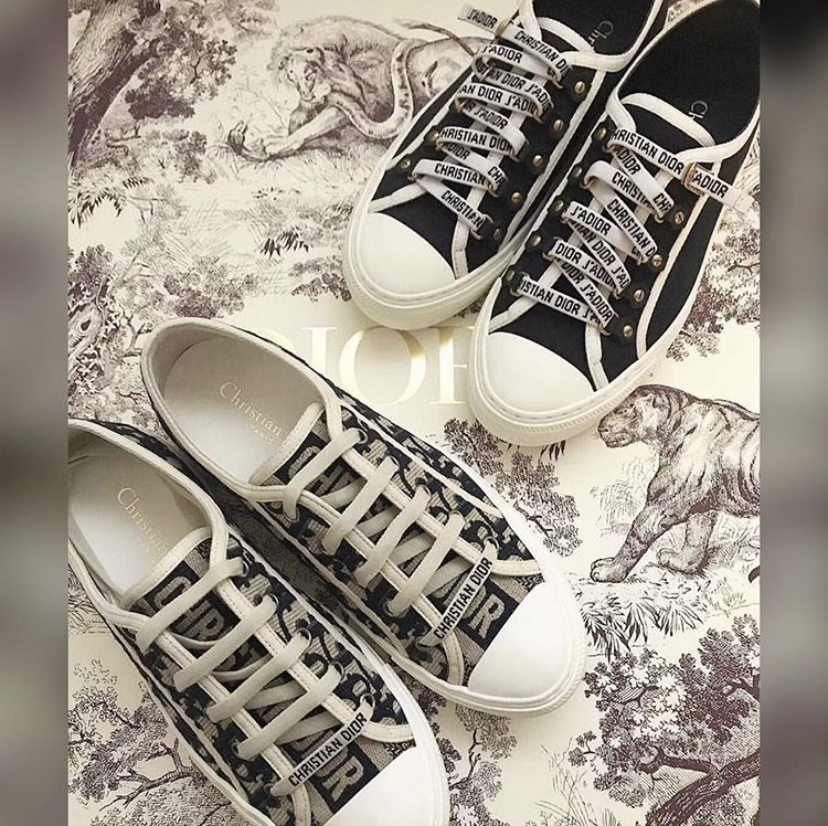 Christian Dior shoes