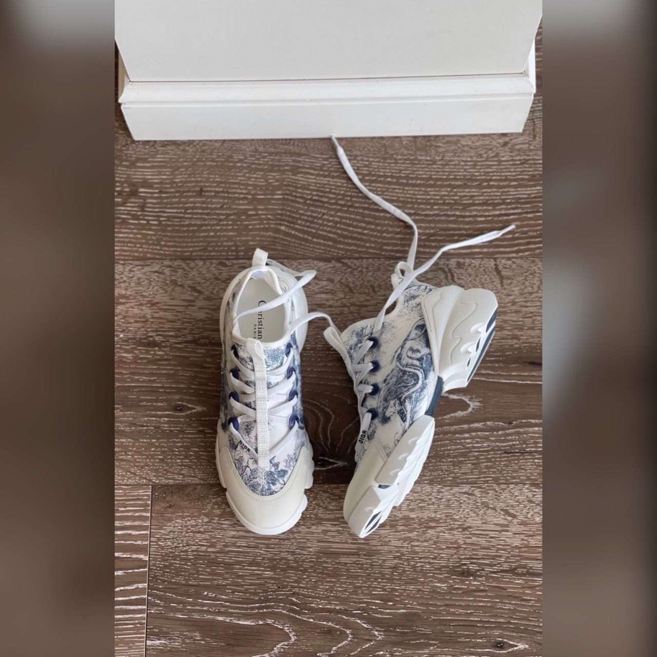 Christian Dior shoes